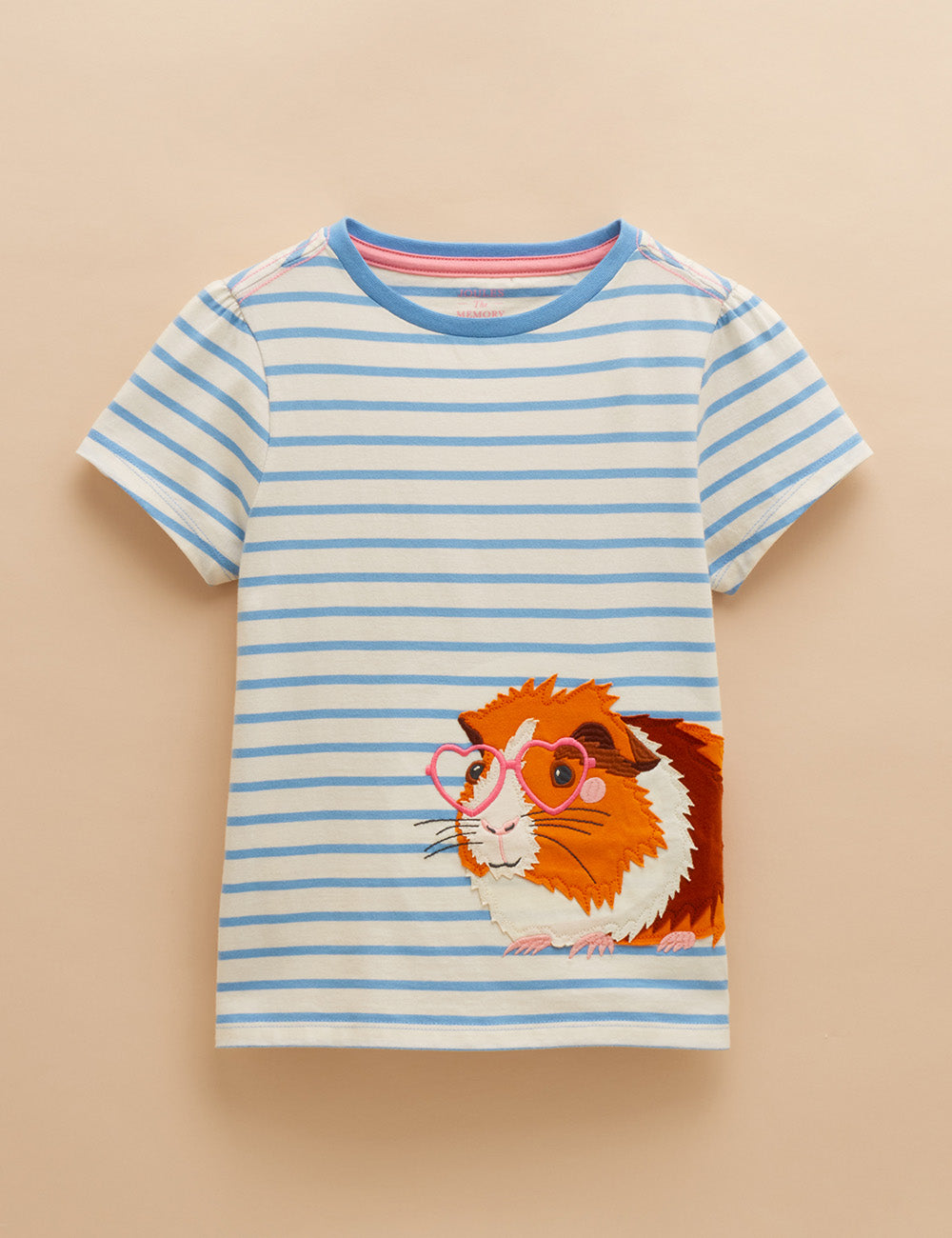 Joules Astra T-Shirt - Blue Stripe